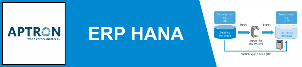 Best erp-sap-hana training institute in delhi