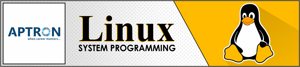 Best linux-system-programming training institute in delhi