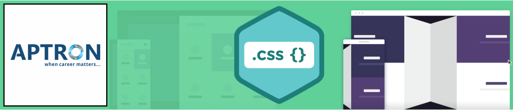 Best css training institute in delhi