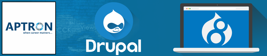 Best drupal training institute in delhi