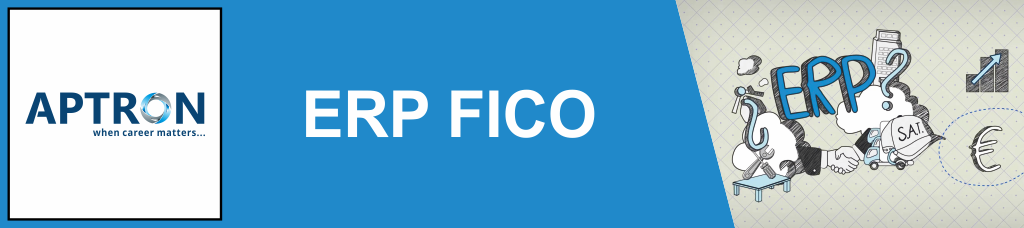 Best erp-sap-fico training institute in delhi