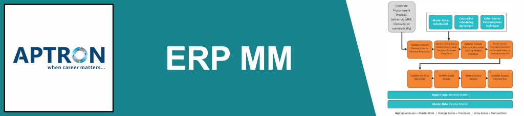 Best erp-sap-mm training institute in delhi