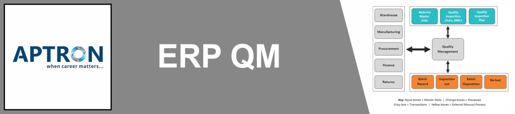 Best erp-sap-qm training institute in delhi