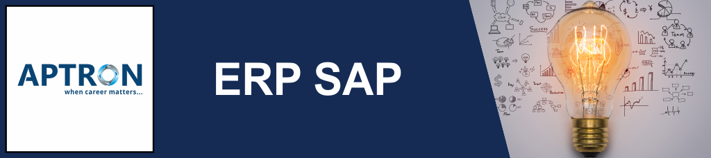 Best 6 Months Industrial Training in erp-sap