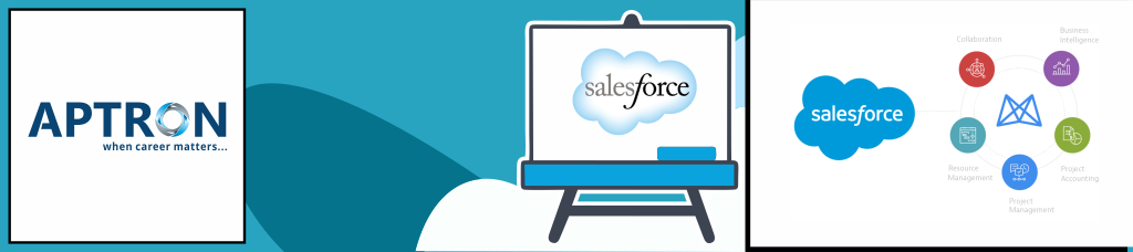 Best salesforce training institute in delhi