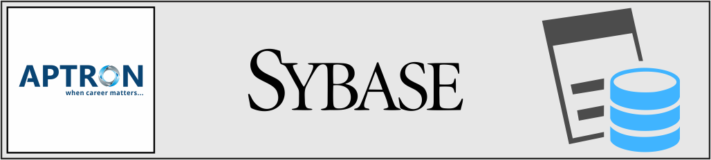 Best sybase training institute in delhi
